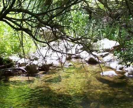 Le Stelle Del Tirreno 팔코네